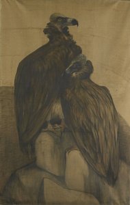 To arabiske gribber av Theo van Hoytema