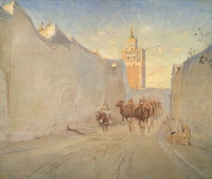 Kameler i en gate i Tunisia