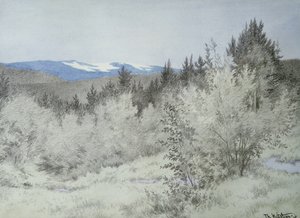 Langt langt borte i skogen av Theodor Kittelsen