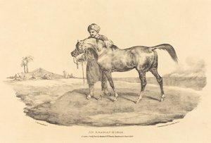 En arabisk hest av Theodore Gericault