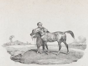 En arabisk hest, 1821 av Theodore Gericault