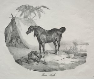 Arabisk hest av Theodore Gericault