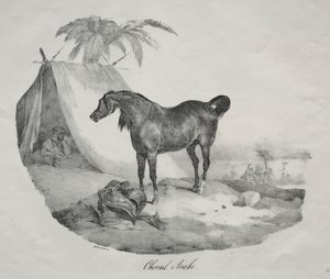  av Theodore Gericault