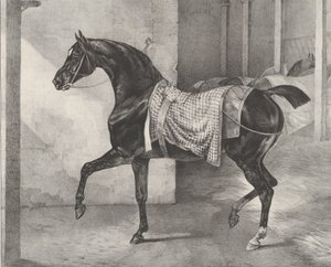 Svart hest bundet i en stall, 1822. av Theodore Gericault