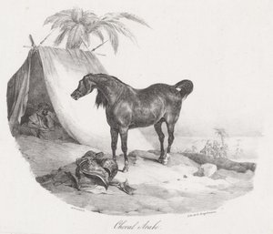  av Theodore Gericault