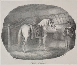 Cheval dHanovre. av Theodore Gericault