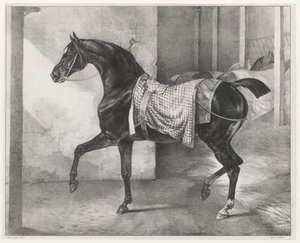  av Theodore Gericault