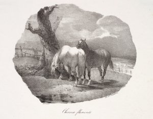 Flamske hester av Theodore Gericault