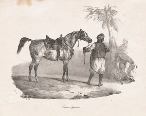 egyptisk hoppe av Theodore Gericault