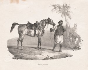 Egyptisk hoppe av Theodore Gericault