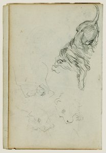 Fire løvestudier av Theodore Gericault
