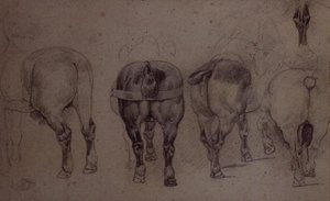 Selede hester (blyant) av Theodore Gericault