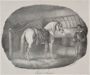 Hest fra Hannover av Theodore Gericault