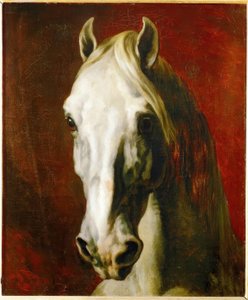 Hodet til en hvit hest av Theodore Gericault