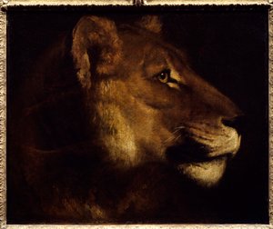 Løvinne-hodemaleri av Theodore Gericault (1791-1824) Søn fra 1800-tallet. 0,55x0,65 m Paris, Musée du Louvre. - Hodet for løvinne. Maleri av Theodore Gericault (1791-1824) av Theodore Gericault