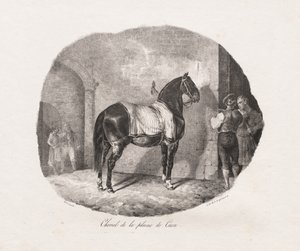 Litograferte studier av hester: Pl. 7, Hest fra Caen-sletten, 1822. av Theodore Gericault