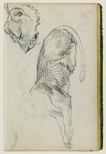 Sittende løve, hode av løvinne av Theodore Gericault