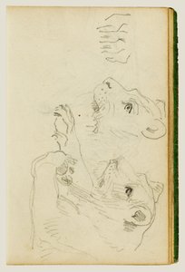 Studier av hodet og forbenene til en løvinne av Theodore Gericault