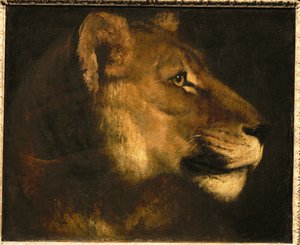 Løvehode. Løvinnehode … av Theodore Gericault