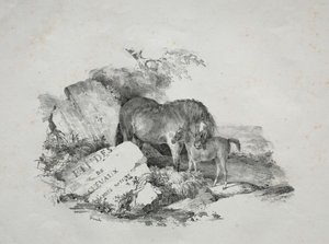 Hoppa og føllet hennes av Theodore Gericault