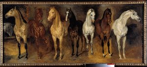 Brystene Sju hester forfra. Maleri av Theodore Gericault (1791-1824) 1800-tallets søn. 0,39x0,94 m Privat samling - Sju hestekister (sett forfra). Maleri av Theodore Gericault (1791-1824) av Theodore Gericault