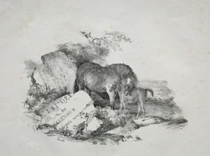 Hoppa og føllet hennes av Theodore Gericault