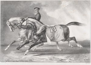  av Theodore Gericault