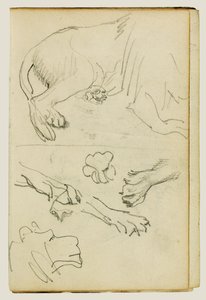 Ulike studier av løvens bein, poter og hode av Theodore Gericault