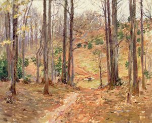 Virginia Woods, 1893 av Theodore Robinson
