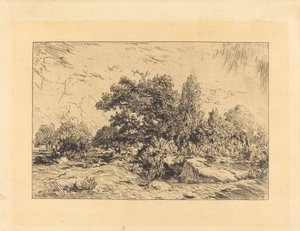 Utsikt over Plateau de Bellecroix av Theodore Rousseau