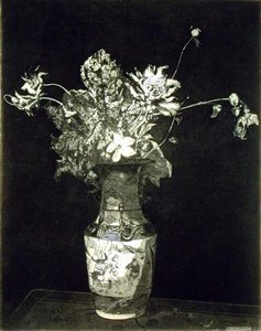 Blomstenes smerte