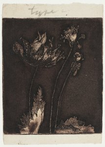 Siste valmuer av Theodore Roussel