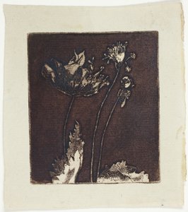 Siste valmuer av Theodore Roussel