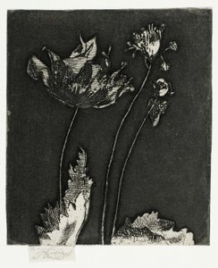 Siste valmuer av Theodore Roussel