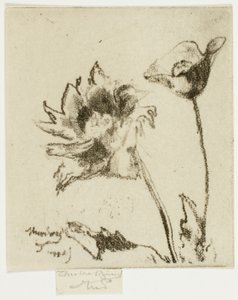 To blomster av Theodore Roussel