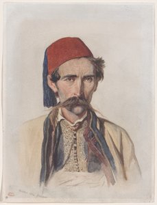Moustachioed slavisk i Beograd