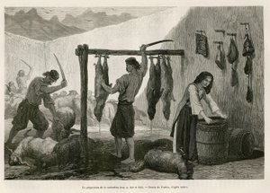 Tilberedning av castradina, spesialitet av kjøtt av sau og geit saltet og bucanee, mot slutten av oktober, i Dalmatia (Istria og Hercegovina (Kroatia)), tegning av Valerio, for å illustrere reisen til Montenegro, i 1874, av Charles Yriarte
