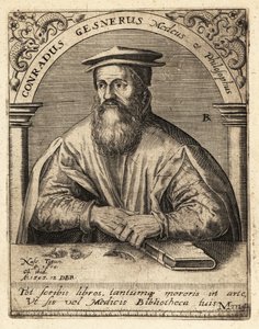 Conrad Gessner, sveitsisk lege av Theodore de Bry
