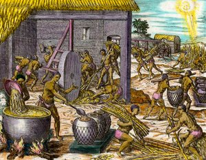 History of America: samle sukkerrør og lage sukker. Gravering av Theodore De Bry (1528-1598) Privat samling fra 1500-tallet av Theodore de Bry