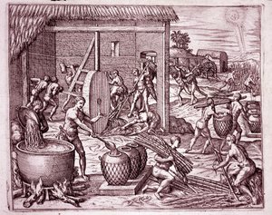 Amerikas historie: høsting av sukkerrør og sukkerproduksjon av indiske slaver som jobber for de spanske erobrerne (gravering av Theodore de Bry