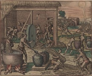 Slaver behandler sukkerrør og lager sukker, 1595. av Theodore de Bry