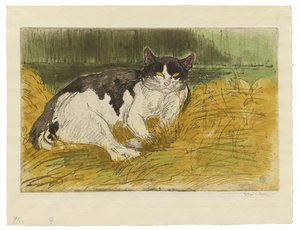 Gammel svart og hvit katt i gresset av Théophile Alexandre Steinlen