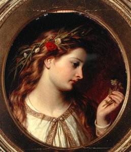Miranda (olje om bord)
