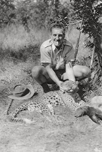 Chaplin Court Treatts leopard, Abercorn til Tukuyu, Tanganyika, 1925 1927 av Thomas A. Glover