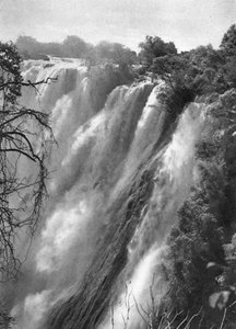 Østlig grå stær, Victoria Falls, Livingstone til Broken Hill, Nord-Rhodesia, 1925 1927. av Thomas A. Glover