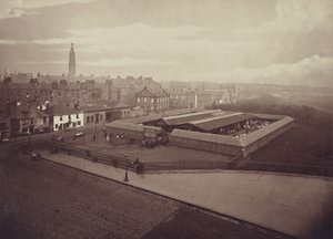  av Thomas Annan