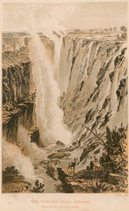 Victoriafallene av Thomas Baines