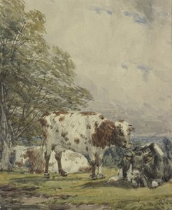 En studie av storfe, 1800-tallet
