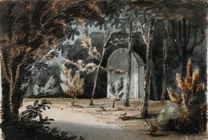  av Thomas Baxter