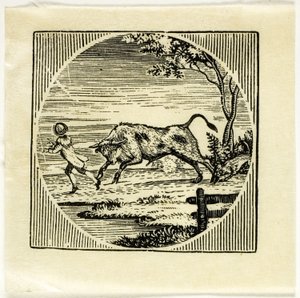 Bokillustrasjon av Thomas Bewick